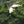 Load image into Gallery viewer, Birdseye view of the farm
