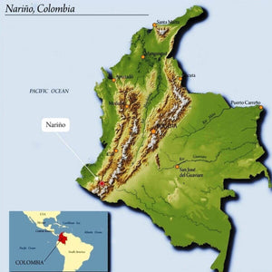 Map of the Narino area
